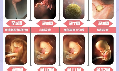 黄药子功能主治-【黄药子的治病功效】黄药子的用法用量 - 黄药子主治配方网